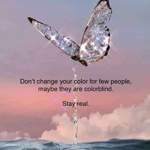 Meet your Posher, Debbie